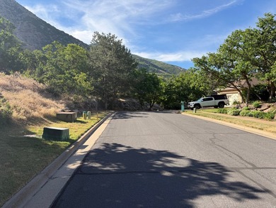 One of the last remaining gated estate lots on Ogden's East - photo 4