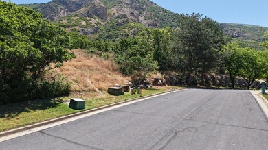 One of the last remaining gated estate lots on Ogden's East - photo 5
