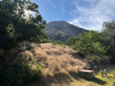 One of the last remaining gated estate lots on Ogden's East - photo 6
