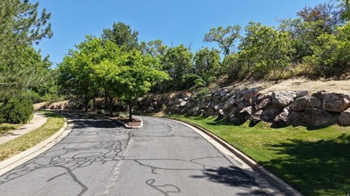 One of the last remaining gated estate lots on Ogden's East - photo 8