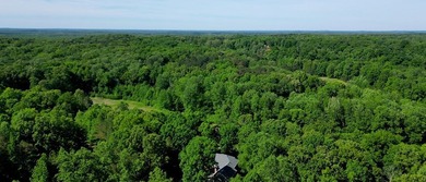 Custom Built Brick Beauty Immaculate 4/5 bedroom home w/ full - photo 50