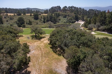 Welcome to Lot 92 located within the gated community of Tehama - photo 11