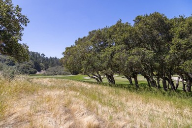 Welcome to Lot 92 located within the gated community of Tehama - photo 14