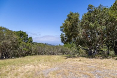 Welcome to Lot 92 located within the gated community of Tehama - photo 15