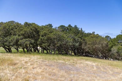 Welcome to Lot 92 located within the gated community of Tehama - photo 16
