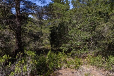 Welcome to Lot 92 located within the gated community of Tehama - photo 17