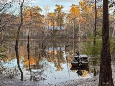 Lake Lot For Sale in Wagarville, Alabama