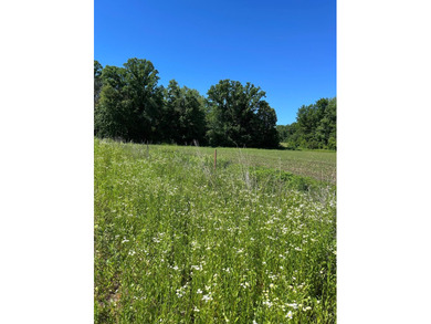 This approximately 40 acres would make the ideal hunting setup - photo 11