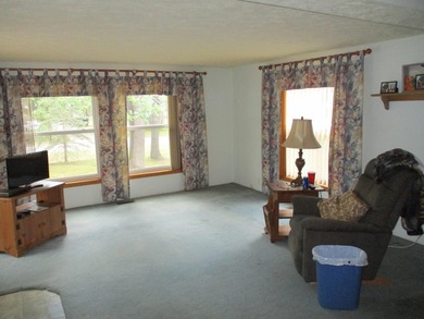 Looking for that perfect up north escape? This could be the home - photo 11
