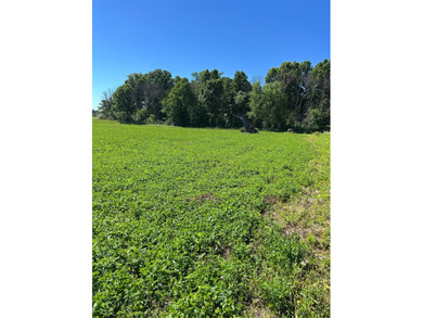 This approximately 40 acres would make the ideal hunting setup - photo 12
