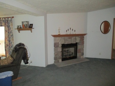 Looking for that perfect up north escape? This could be the home - photo 12
