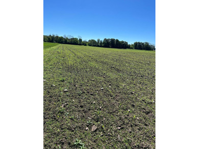 This approximately 40 acres would make the ideal hunting setup - photo 13