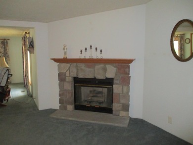 Looking for that perfect up north escape? This could be the home - photo 13