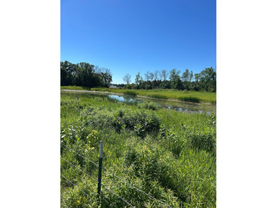 This approximately 40 acres would make the ideal hunting setup - photo 15