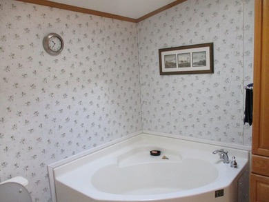 Looking for that perfect up north escape? This could be the home - photo 19