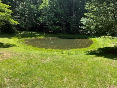 Hollywood West Virginia, where the stars come out at night - photo 19