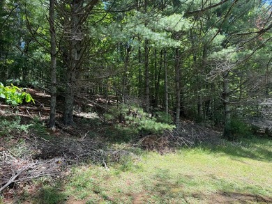 Hollywood West Virginia, where the stars come out at night - photo 23