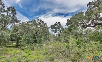 Lake Texana Acreage For Sale in Edna Texas