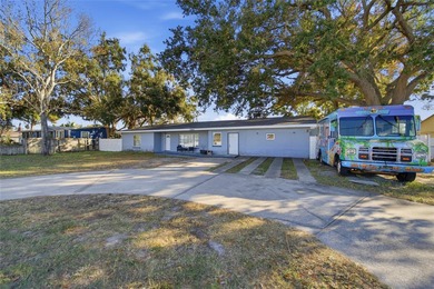 Opportunity to own an absolute unique property that could also - photo 3