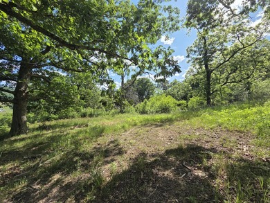 Bring your vision to life with this exceptional 10-acre tract - photo 11