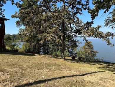 Looking for your place on the lake! This home features a large - photo 11