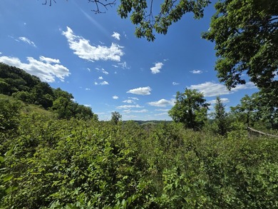 Bring your vision to life with this exceptional 10-acre tract - photo 13