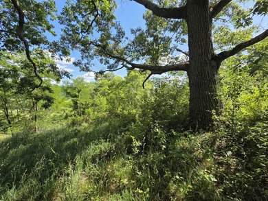 Bring your vision to life with this exceptional 10-acre tract - photo 16