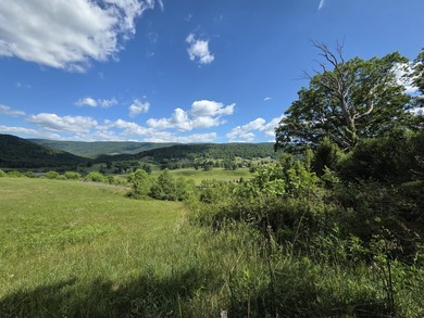 Bring your vision to life with this exceptional 10-acre tract - photo 17