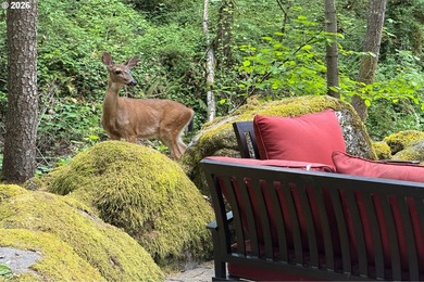BEST VALUE ON THE LAKE. Waterfront Lake Oswego living in a - photo 33