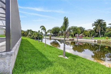 Discover this spectacular property in the coveted Cape Coral - photo 34