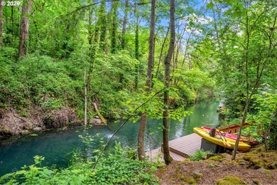 BEST VALUE ON THE LAKE. Waterfront Lake Oswego living in a - photo 36
