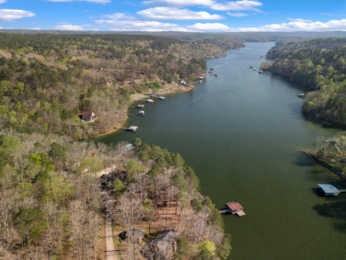 Gorgeous drive leading to your peaceful getaway! .9 acres - photo 16