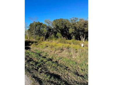 Cedar Creek Lake Lot For Sale in Kemp Texas