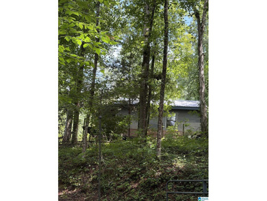 Opportunity knocking with this Lake Jordan lakeview property. 3 - photo 25