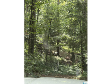 Opportunity knocking with this Lake Jordan lakeview property. 3 - photo 28