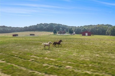 (private lake, pond, creek) Home For Sale in Mound City Kansas