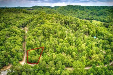 Lake Lot For Sale in Harriman, Tennessee