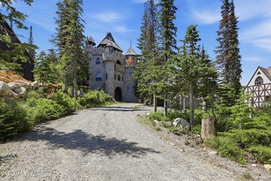 2 magnificent, medieval-style castles are now on the market - photo 4