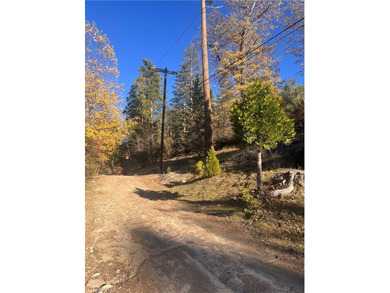 Lake Lot For Sale in Cedar Glen, California