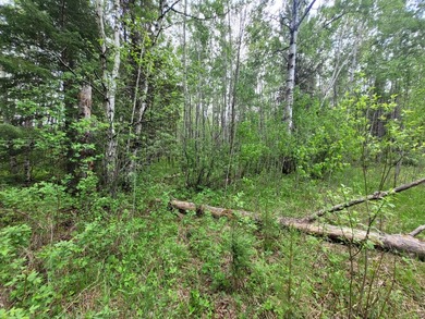 Looking for hunting land? Land to play on? Land to build on? - photo 14