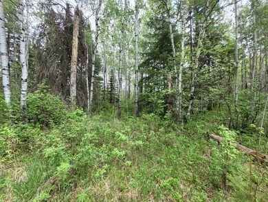 Looking for hunting land? Land to play on? Land to build on? - photo 15