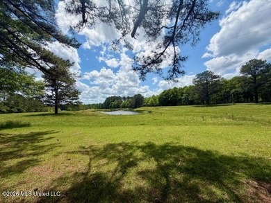 Scenic Ranch-Style Retreat on 16.5 Acres with Pond, Barn & - photo 28