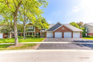 Lake Home Sale Pending in Schaumburg, Illinois