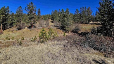 Rare opportunity to own three separate parcels offered together - photo 35
