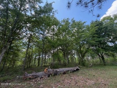 Scenic Ranch-Style Retreat on 16.5 Acres with Pond, Barn & - photo 37