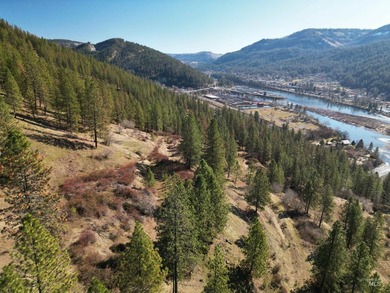 Rare opportunity to own three separate parcels offered together - photo 41