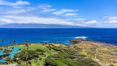 This is a turnkey private ownership opportunity at The Resort at - photo 49