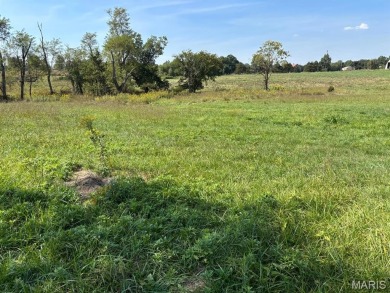 Lake Acreage For Sale in Monroe City, Missouri