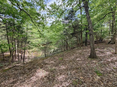 Great opportunity to own a 30-acre wooded hunting tract (Tract - photo 11