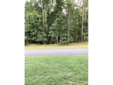 Beautiful Lot! Full of Potential! - photo 4